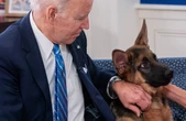 Cachorro de Biden mordeu agentes do serviço secreto 24 vezes