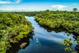 Reino Unido anuncia doação de mais R$ 215 milhões para Fundo Amazônia