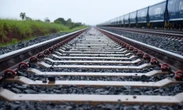 Ferrovias brasileiras viram exemplo internacional de prevenção e redução de impactos na fauna