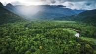 COP16 termina com acordo sobre financiamento da biodiversidade, mas lacuna bilionária persiste