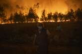 Google lança satélite de IA que promete detectar incêndios florestais em até 20 minutos