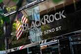 BlackRock rompe com grupo climático em meio à pressão política nos EUA