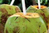 Biocombustível de coco verde pode resolver problema de R$ 900 mil ao ano