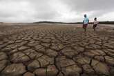 Na COP28, relatório alerta: o planeta já enfrenta problemas irreversíveis