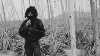 With Outerwear, Shea Marie Is Officially Expanding Same Beyond the Beach