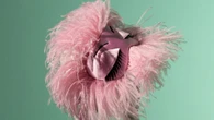 Stephen Jones Rides a Rainbow into Spring With Hats for Every Hour