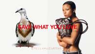 Stella McCartney Creates a Flock of AI Birds for New Campaign That Warns of Extinction