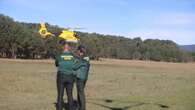 Empresas forestales debaten en Cabforest el máximo aprovechamiento del monte soriano