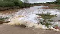 La lluvia devuelve la vida al Guadiamar en su camino hacia Doñana desde Sevilla