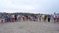 Liberadas catorce tortugas bobas en la playa alicantina del Carabassí