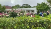 La Casa Blanca abre sus históricos jardines para mostrárselos al público en primavera