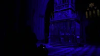"Lúmina Catedral de Toledo", la experiencia nocturna para ver el templo con una nueva luz
