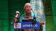 Jane Goodall participa en charla en la Unesco sobre protección ambiental y animal