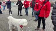 Trabajadores de Audi Bruselas exigen mayor protección social antes del cierre de la planta