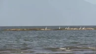 Nicaragua busca nuevo socio para su antiguo sueño de construir un canal interoceánico