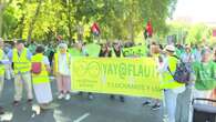 Asamblea Marea Verde denuncia los recortes de la Comunidad de Madrid en educación pública