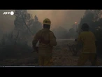 Messico, gli incendi divorano da giorni i boschi della Baja California