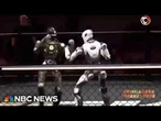 Inside the world of robot fight clubs