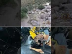 ‘Brave pup’ airlifted to safety after getting injured on hike