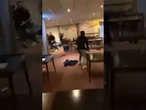 Migranci zdemolowali hotel w Holandii. Darmowy pobyt i totalna dewastacja
