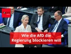 AfD-Anfragen: Regierung kritisiert Überlastung durch Massenanfragen