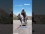 Border Patrol releases satirical ad playing on Sydney Sweeney controversy #shorts #foxnews #news