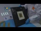 Polícia anuncia que quadro de Picasso desaparecido na Espanha foi recuperado | AFP