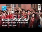 Harvard : une juge veut octroyer "certaines protections aux étudiants internationaux" • FRANCE 24