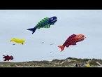 Danemark : sur l'île de Fanø, un festival coloré de cerfs-volants