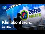 COP29 in Baku: was Wissenschaftler:innen von der Klimakonferenz erwarten