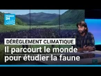 Faune sauvage en danger : Thémo Anargyros parcourt le monde pour étudier les animaux • FRANCE 24