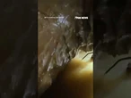 WATCH: Rescuers break down in tears after saving people trapped inside flooded cave #fox #media #