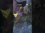 Frio extremo cria paisagem congelada e impressiona moradores em Alto Caparaó