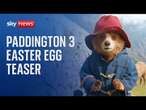 Paddington actor teases Easter egg viewers should look out for in latest film