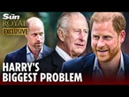 Prince Harry's rift with royals is FAR from over - William will hate that he met the King