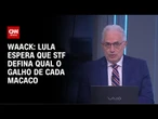 Waack: Lula espera que STF defina qual o galho de cada macaco | WW