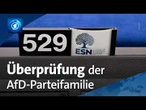 EU-Parlament für Überprüfung der europäischen AfD-Parteifamilie ESN