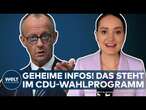 BTW 2025: Geheime Informationen durchgesickert! Das steht im Wahlprogramm der CDU um Friedrich Merz