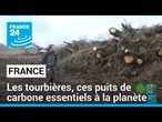 France : les tourbières, ces puits de carbone essentiels à la planète • FRANCE 24