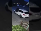 Ring camera video shows a bear breaking into a family's car in Tennessee