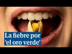 La fiebre por el 'oro verde' o cómo los pistachos son la nueva moda gastro