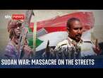 Sudan war: 'The Arabs arrived and started killing people'