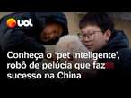 Pets robôs de estimação movidos por inteligência artificial ganham popularidade na China; veja vídeo