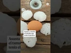 Riesgo extremo por el fuerte granizo caído en #cataluña #granizo #tiempo #alerta