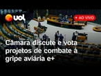 Câmara ao vivo: deputados votam projetos para combater a gripe aviária no Brasil; acompanhe