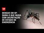 Dengue em SP: saiba o que muda com decretação de estado de emergência | BASTIDORES CNN