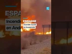 Espagne : incendie mortel en Andalousie, plus de 500 pompiers mobilisés • FRANCE 24