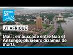 Embuscade entre Gao et Ansongo au Mali, plusieurs dizaines de morts • FRANCE 24