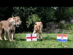 Des lions britanniques prédisent le parcours de l'Angleterre au Mondial