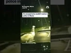 An escaped emu couldn't outrun police in Maine
